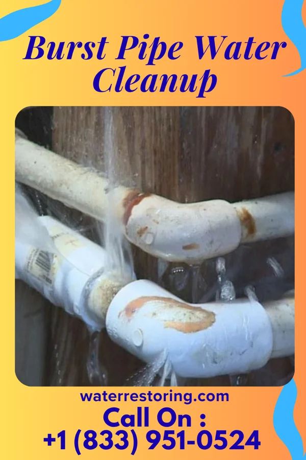 Burst Pipe Water Cleanup in Aumsville, OR